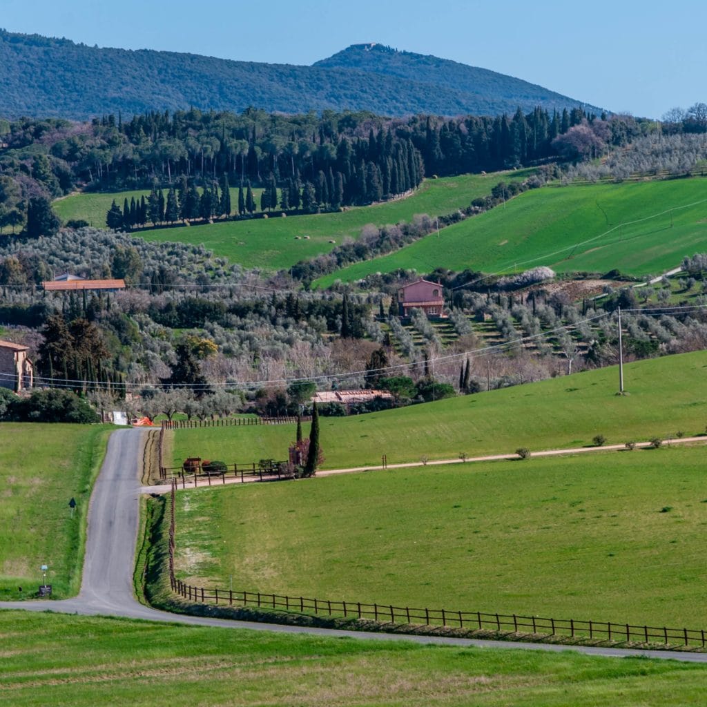 A hill road in the countryside of Bibbona, Etruscan Coast of Tuscany