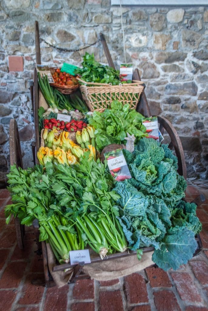 fresh vegetables Tuscany