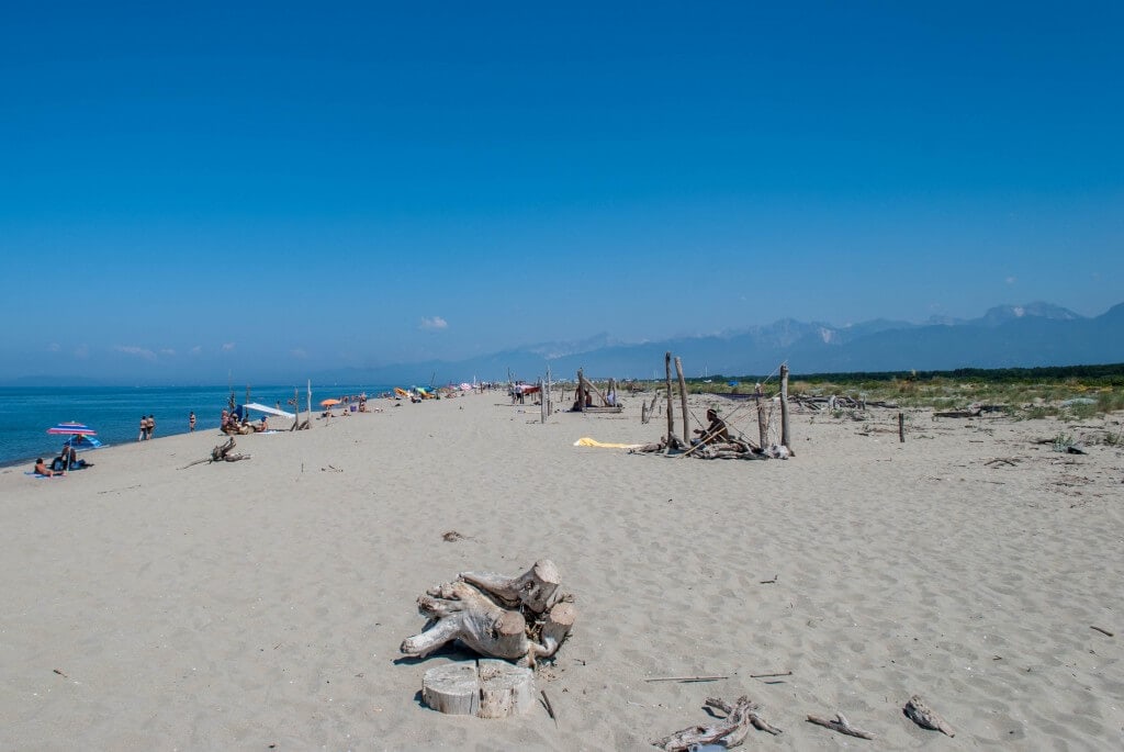 The wild beach of Lecciona in Viareggio,  Versilia & Apuan Riviera, Tuscany