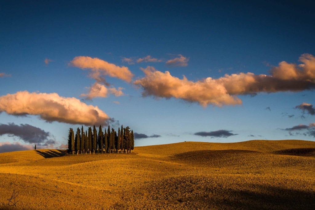 ValdOrcia field Tuscany