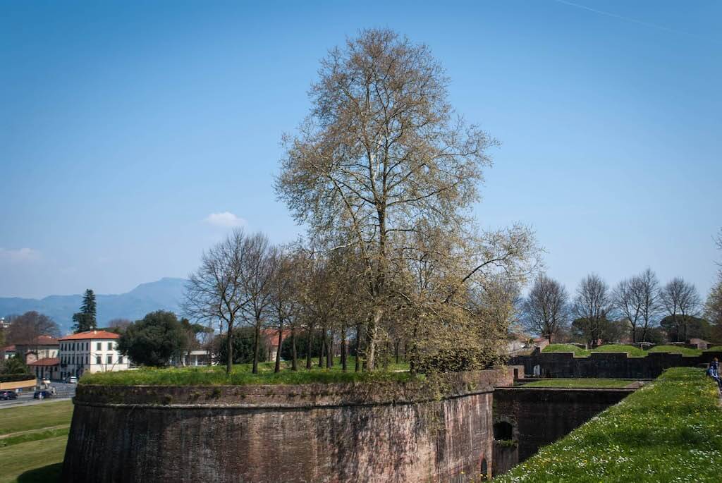 Walls of Lucca