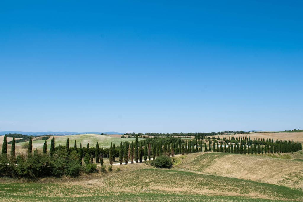 Castelnuovo Berardenga countryside