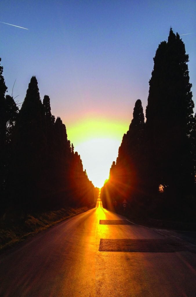 Sunset Cypress Avenue Bolgheri
