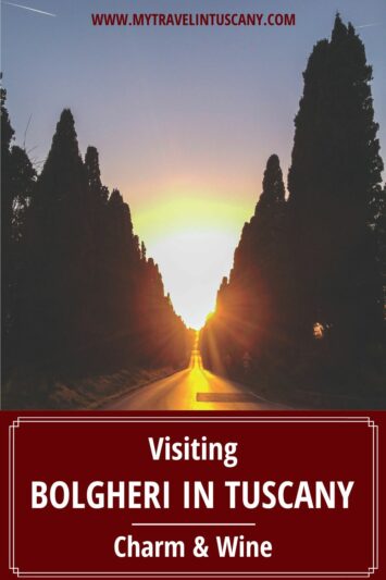 Pinterest Cover with a picture of the cypress alley of Bolgheri at sunset