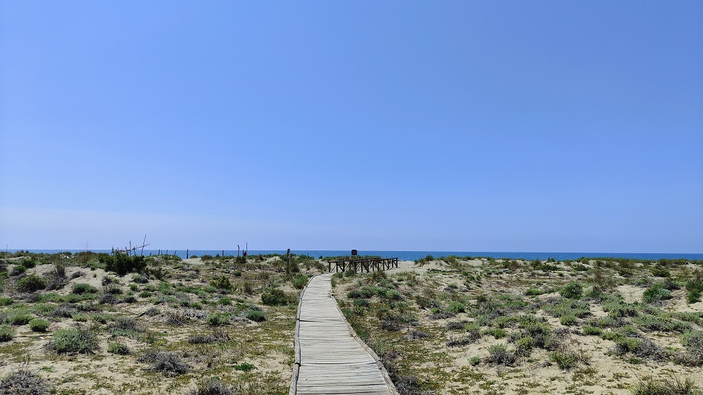 The path of entrance at Lecciona beach, one of the best beaches in Tuscany, Italy